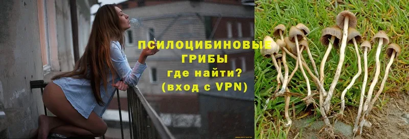 Где можно купить наркотики Омск A-PVP  COCAIN 