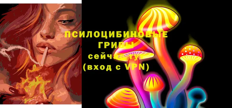 Галлюциногенные грибы Cubensis  Омск 